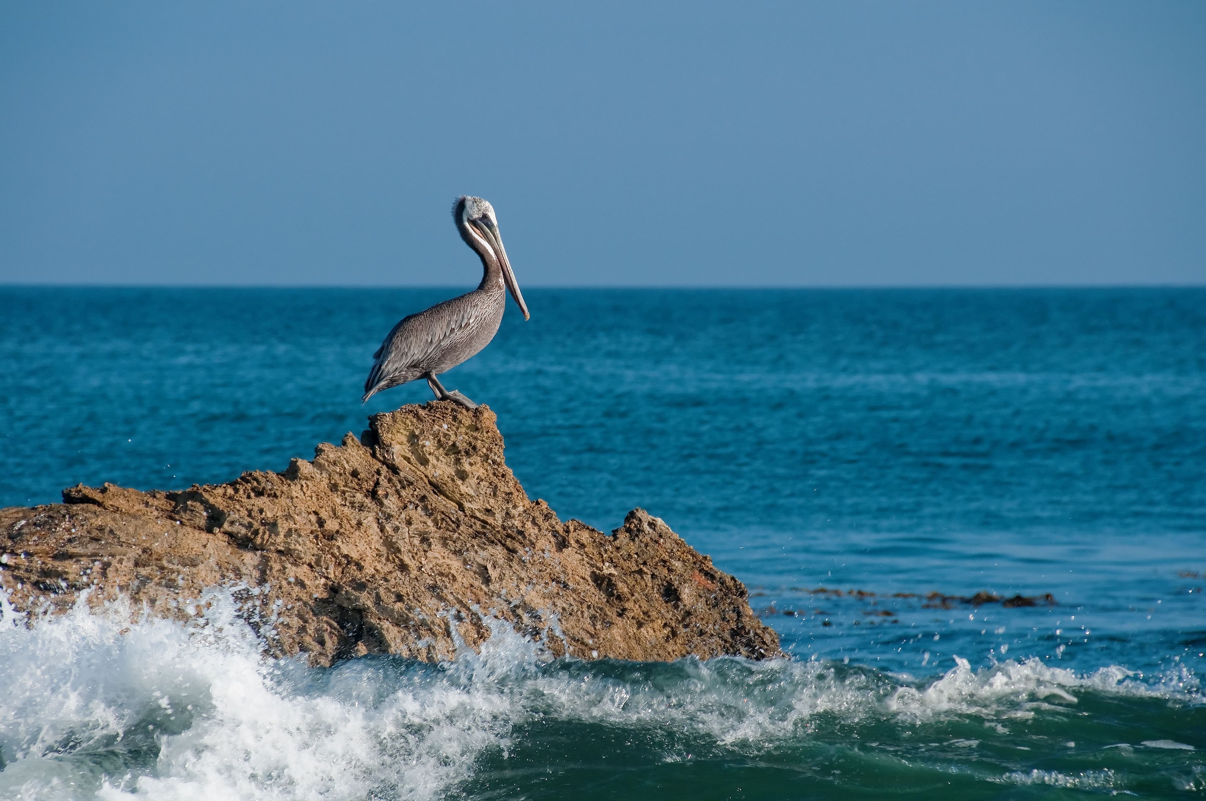 Ecuador and Galapagos Tours From Kerala, Where Animals Have No Fear