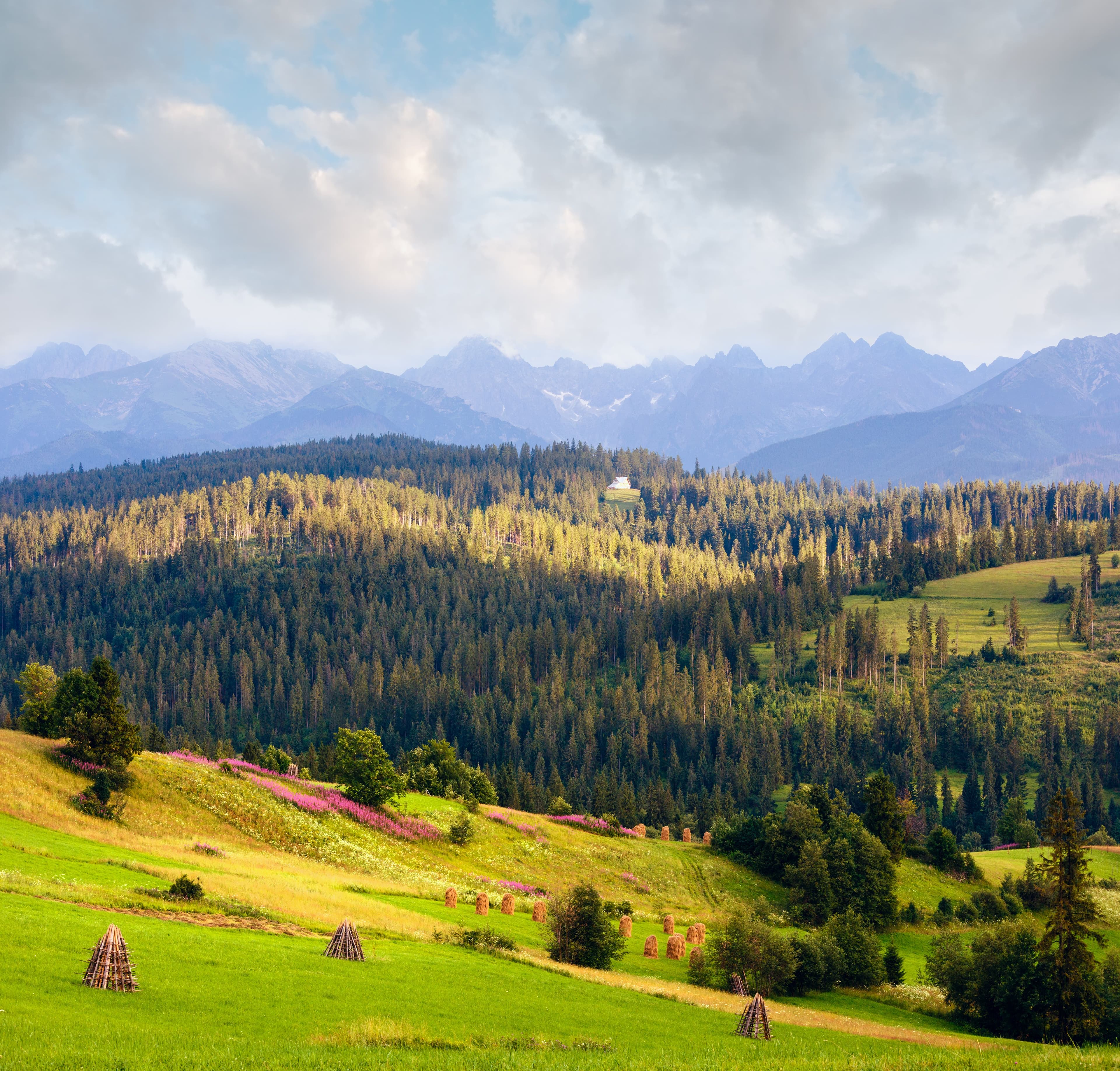 Wallachia and the Carpathians