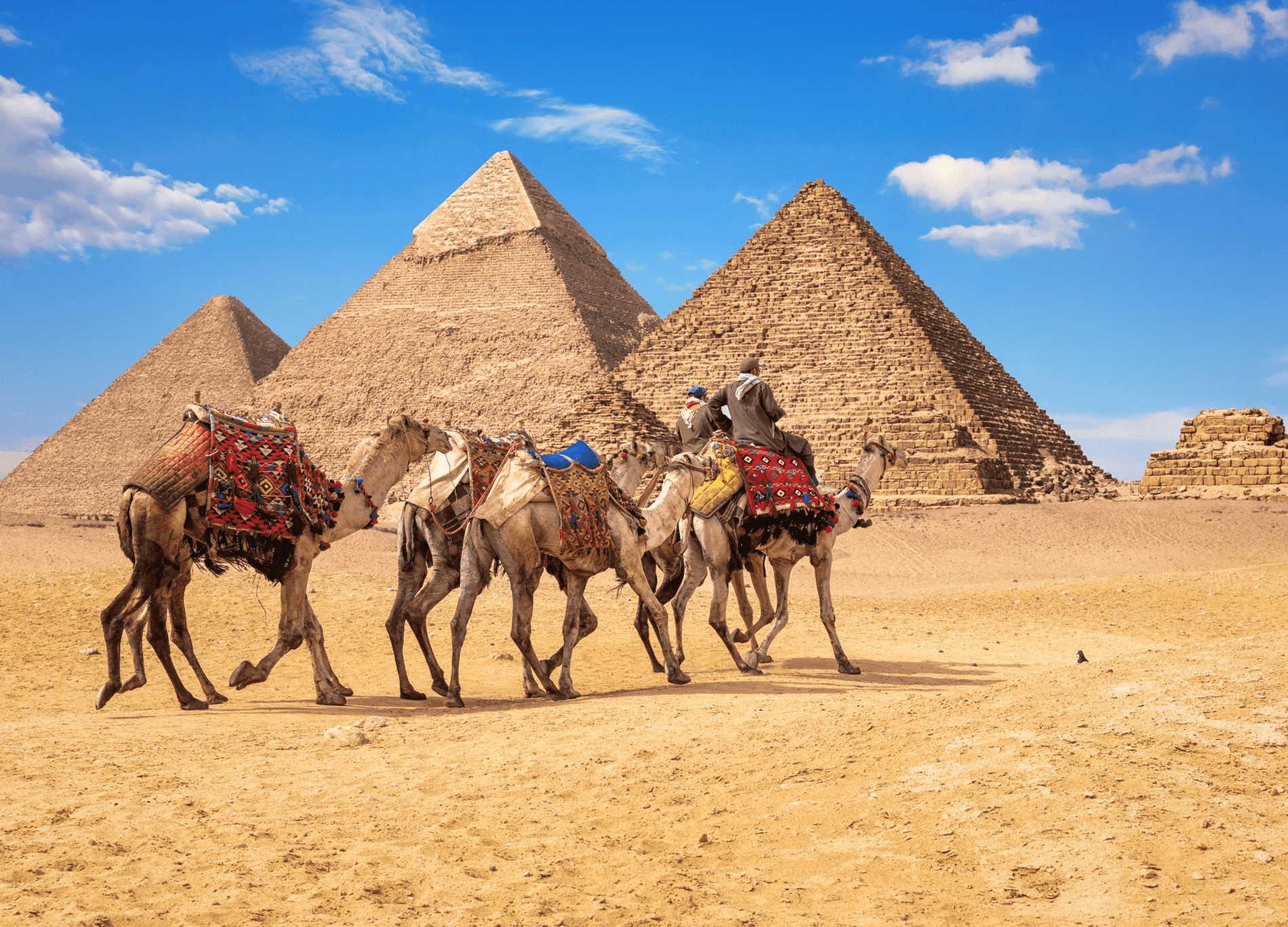 Egypt Tour From Kochi, Pyramids, Pharaohs, and a Cruise Down the Nile