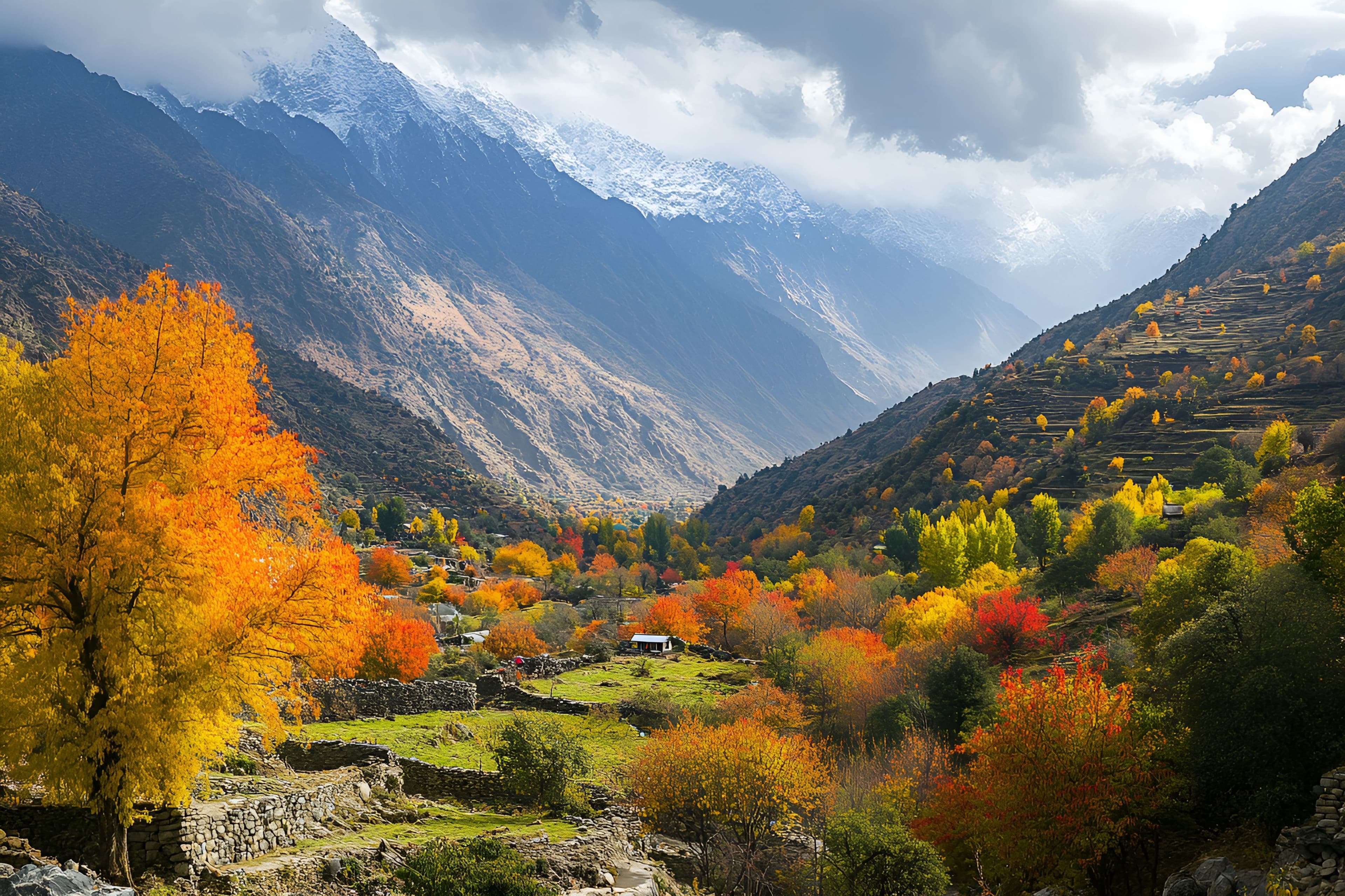 Kashmir, the Trip That Feels Nothing Like Home
