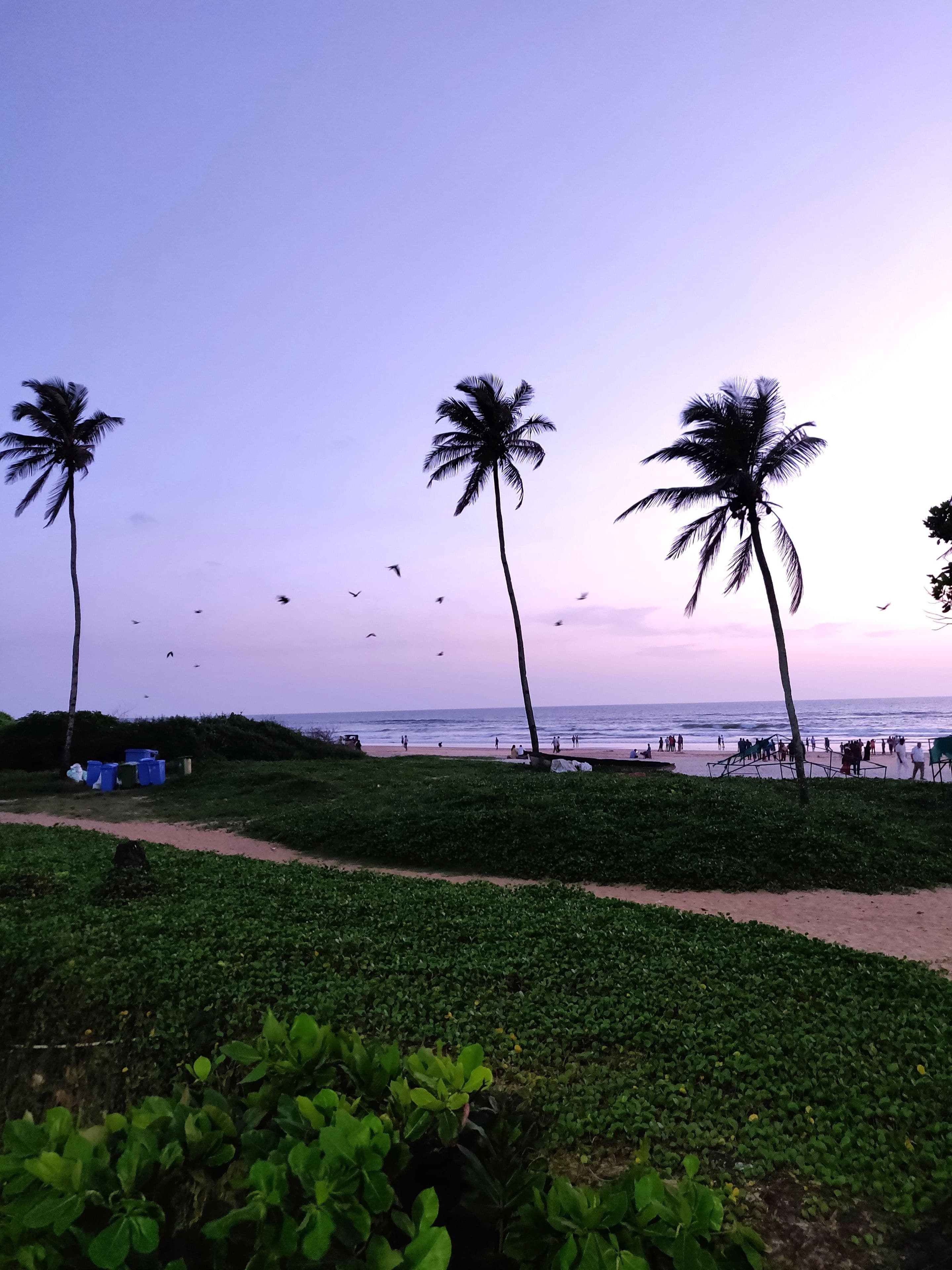 Goa