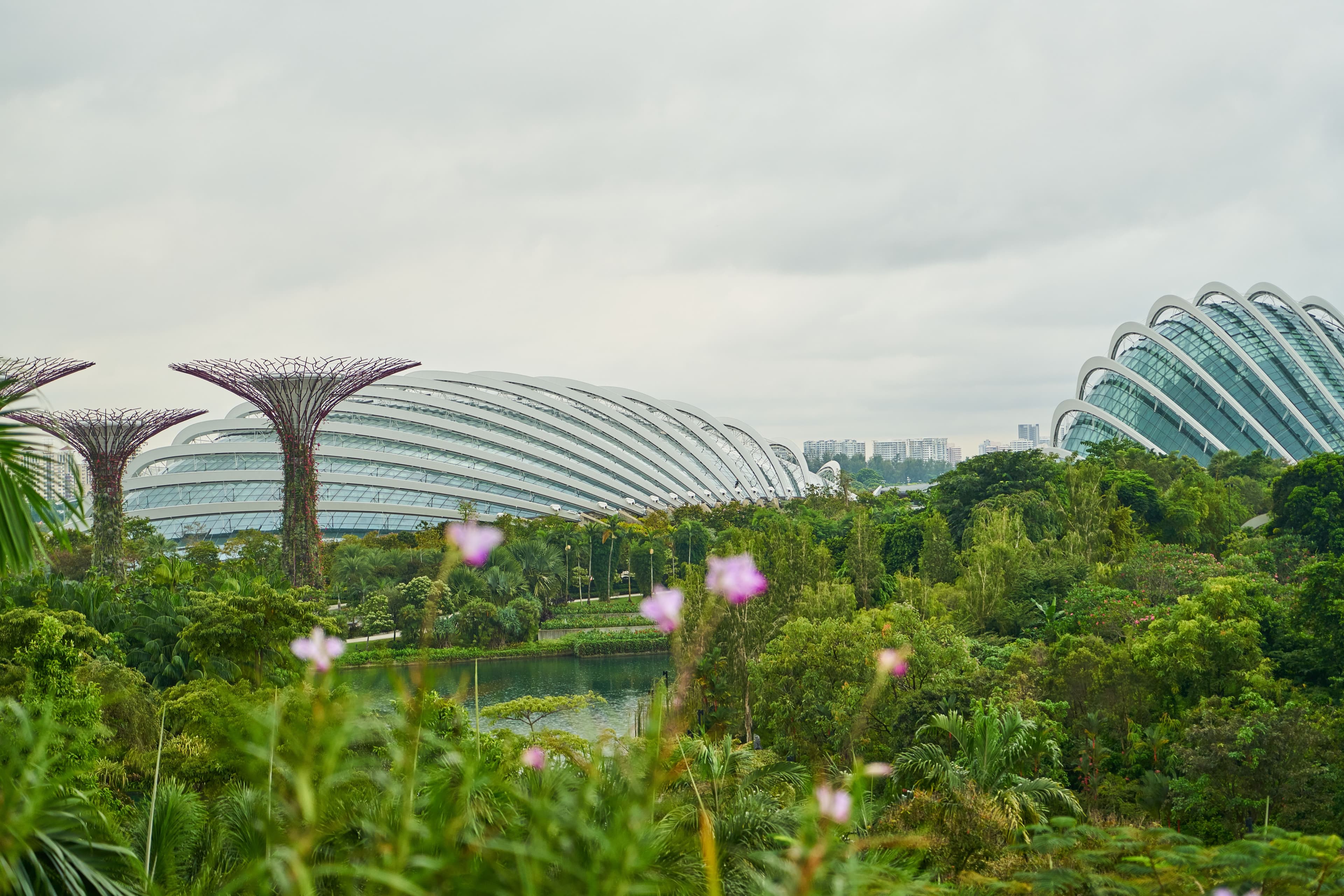 Singapore Tour From Kochi, Gardens and Glass