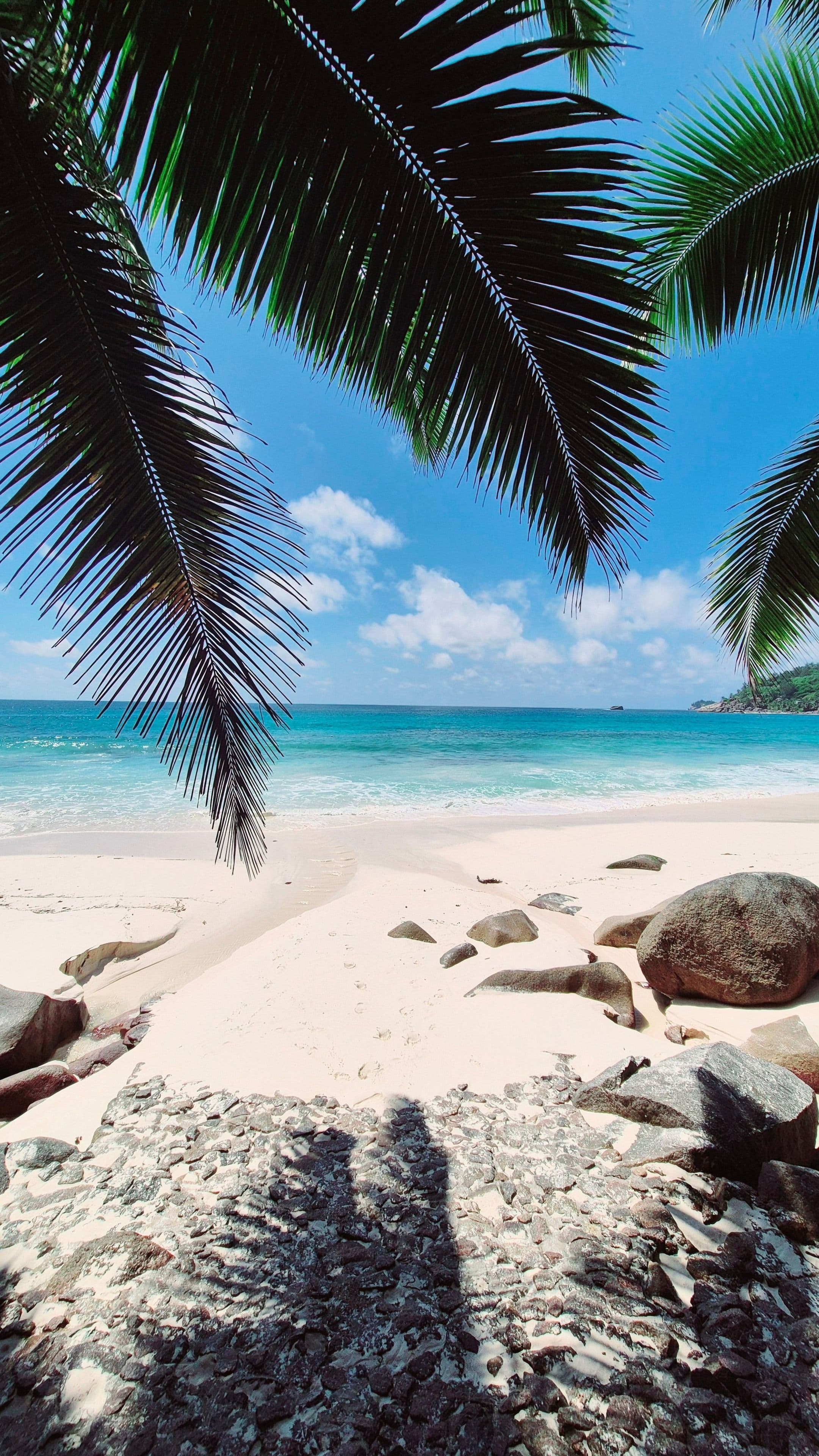 St Lucia Caribbean coast and beach
