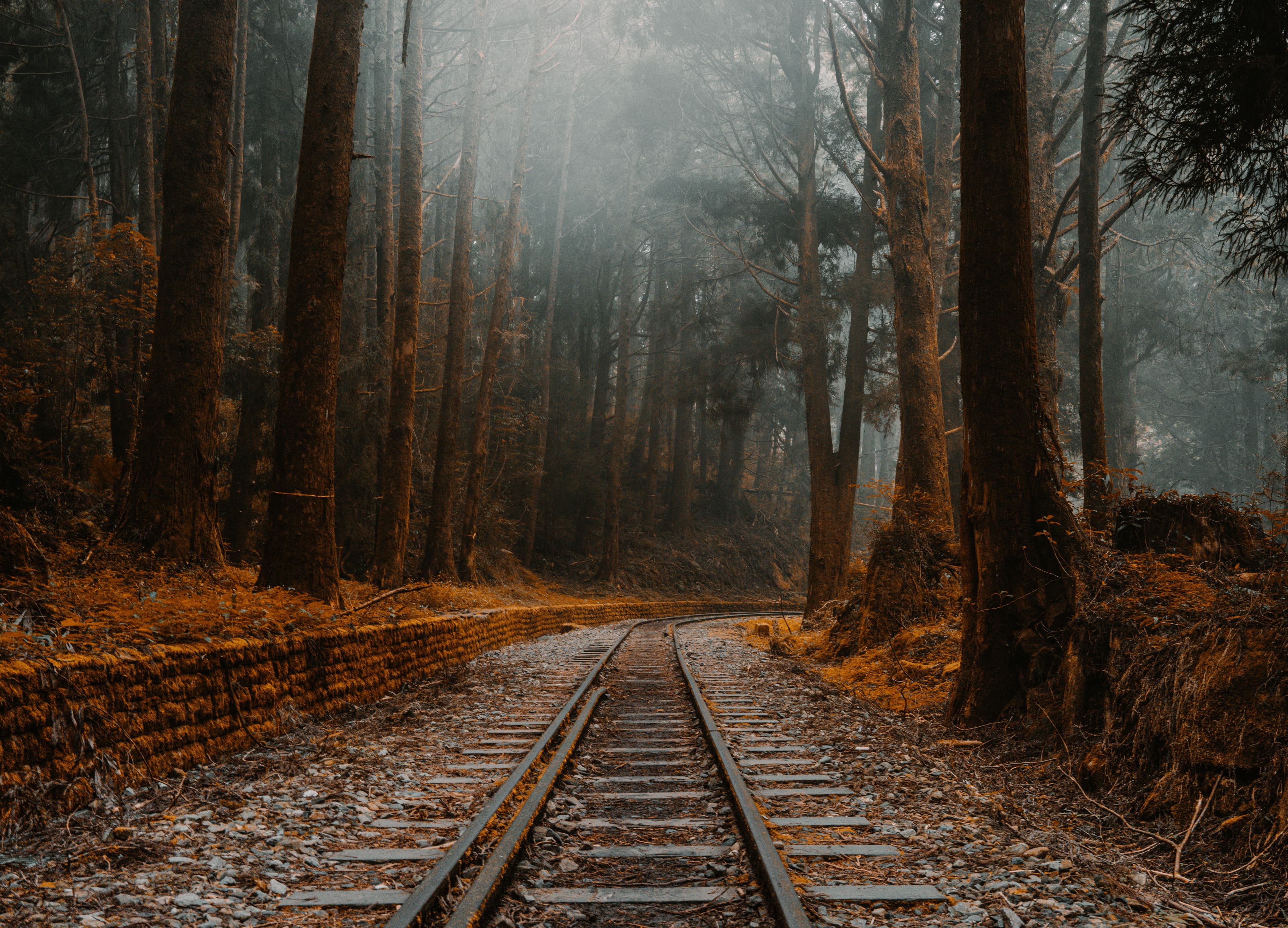 A Little Red Train Into the Sky