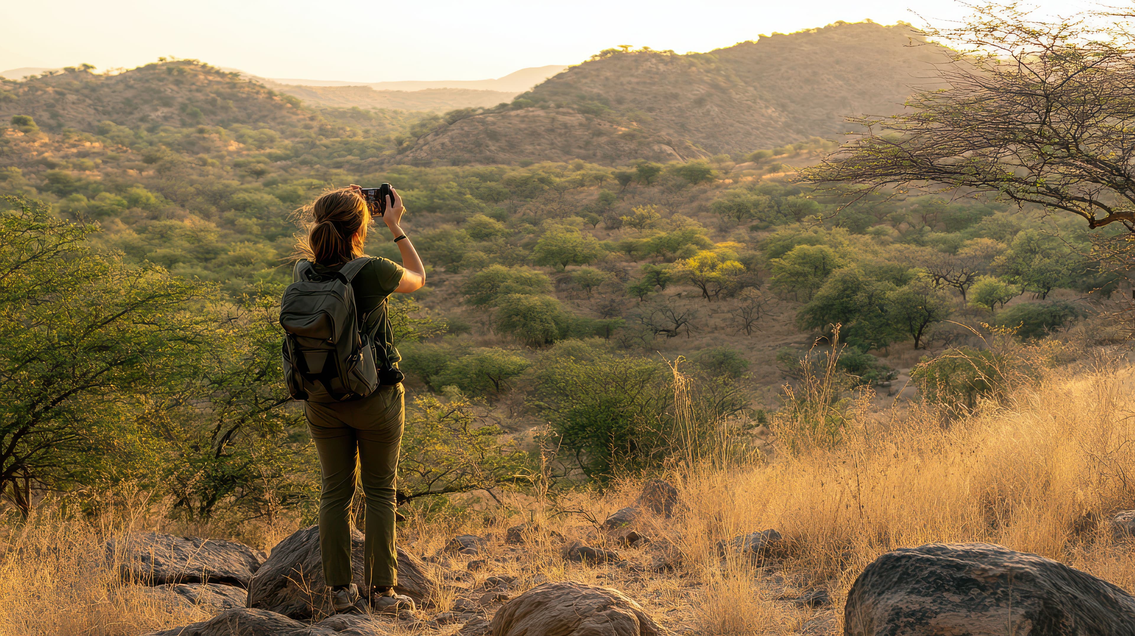 A Walking Safari Changes What You Notice