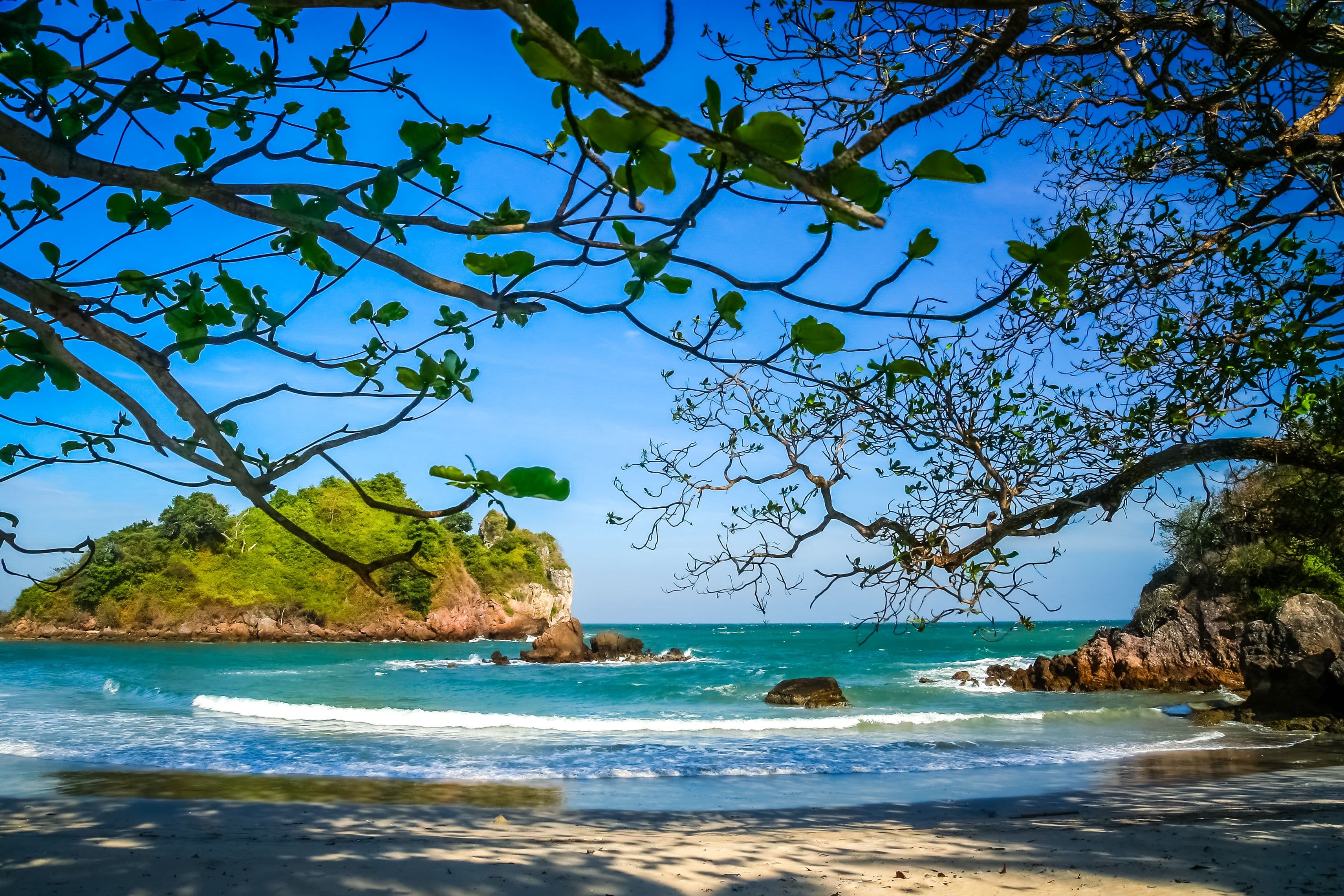 Manuel Antonio