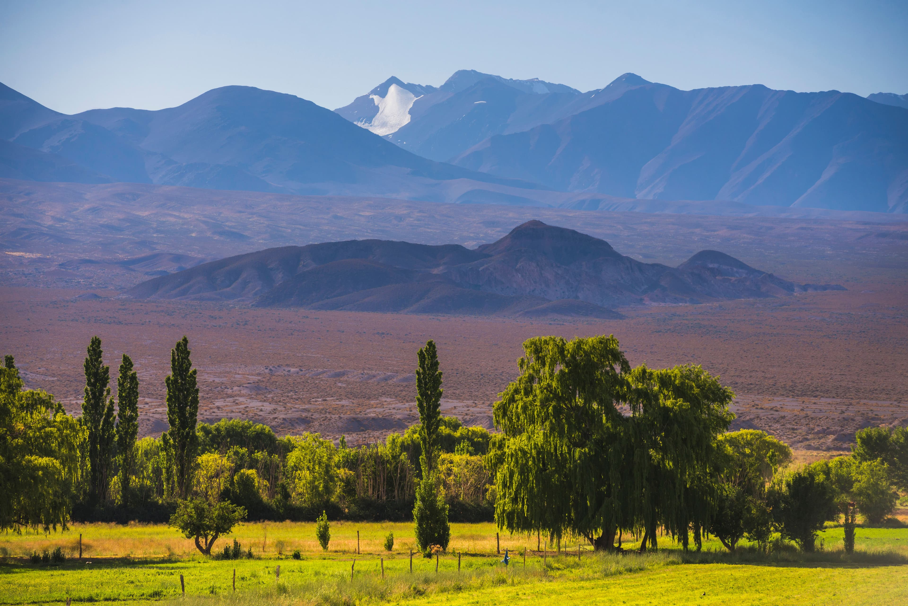 Mendoza and the Northwest