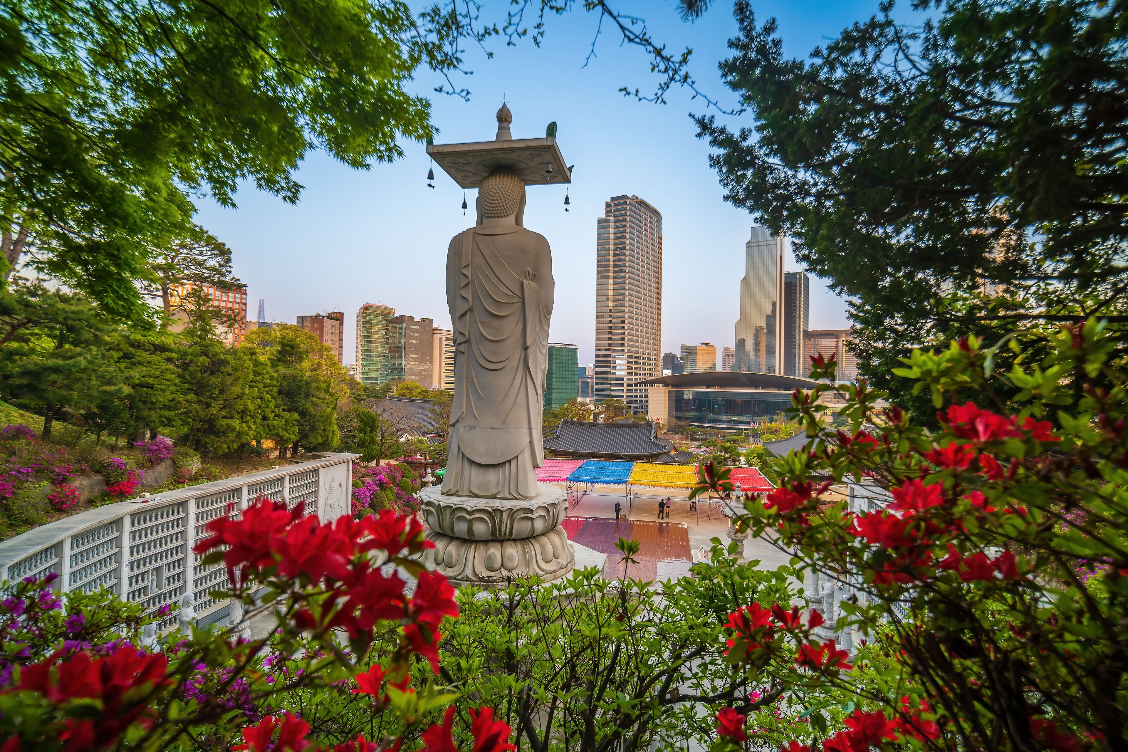 N Seoul Tower and the Garden of Morning Calm