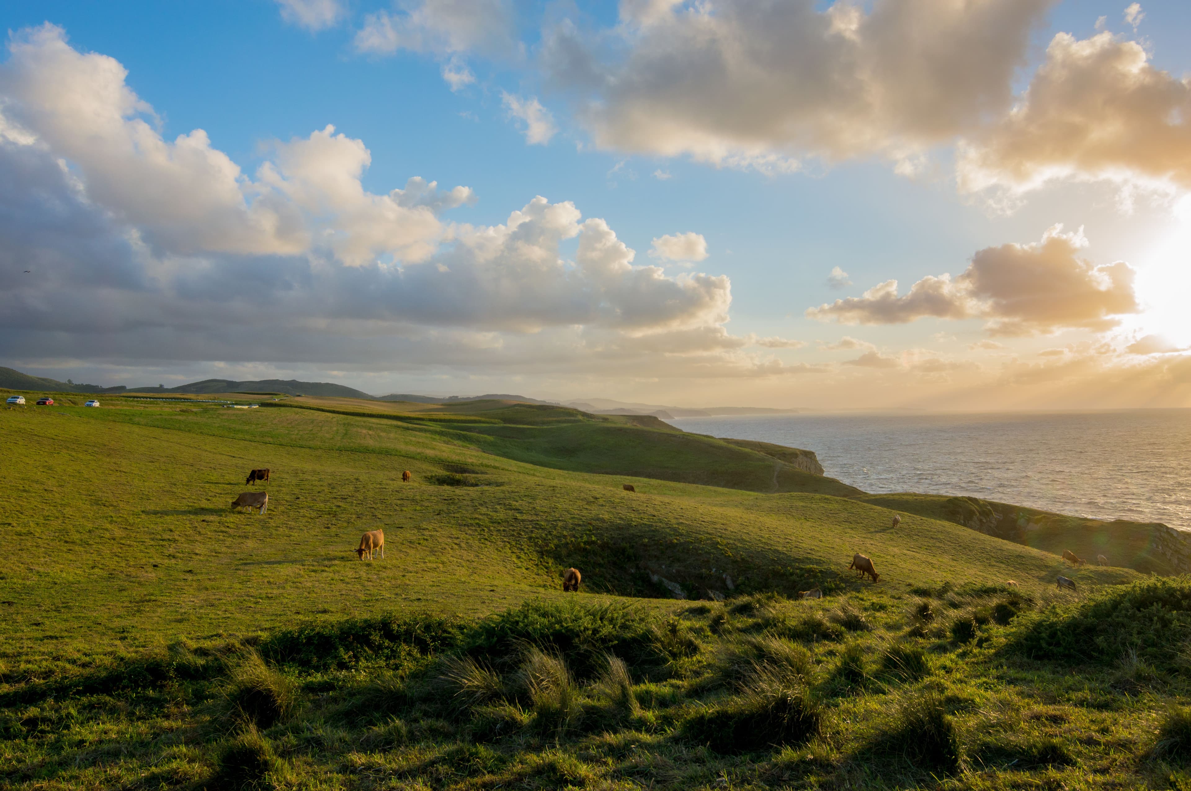 Northern Ireland