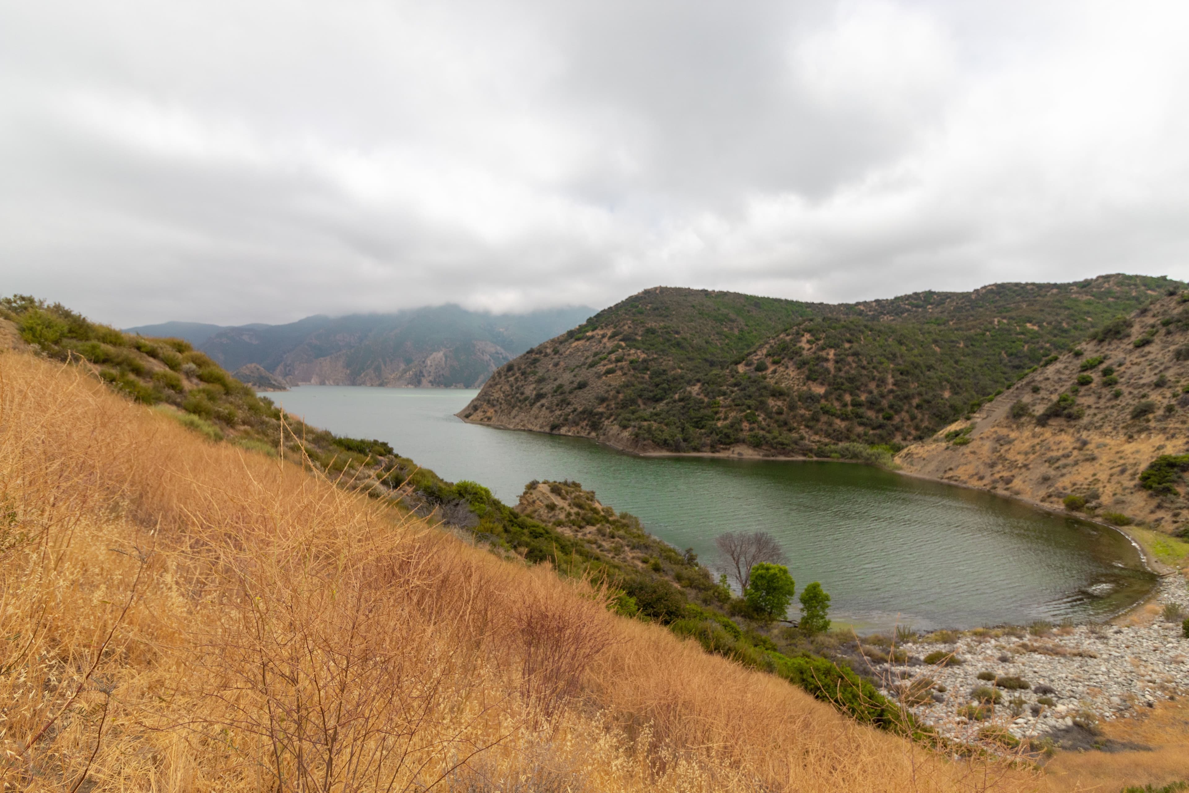 The Galilee