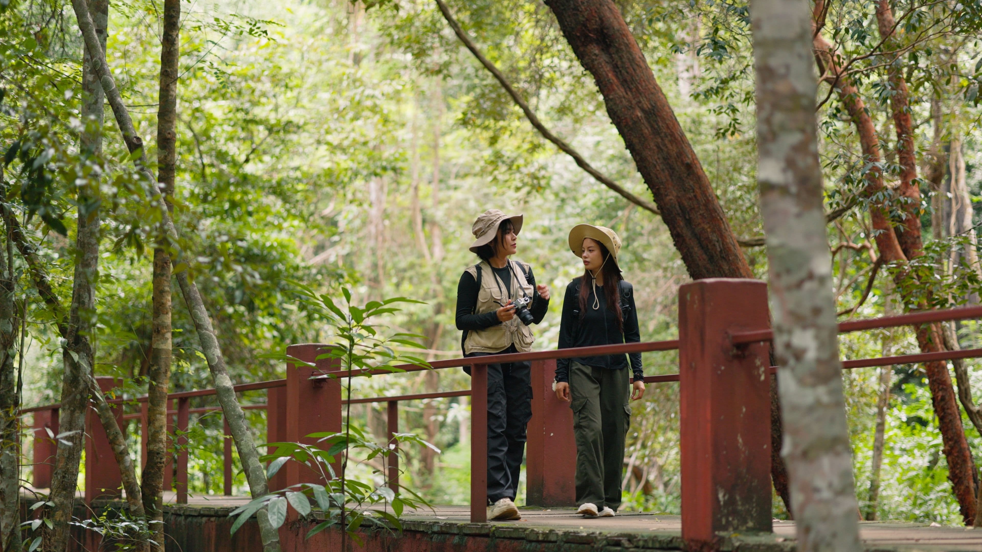 This Forest Was Old Before the Amazon Began.