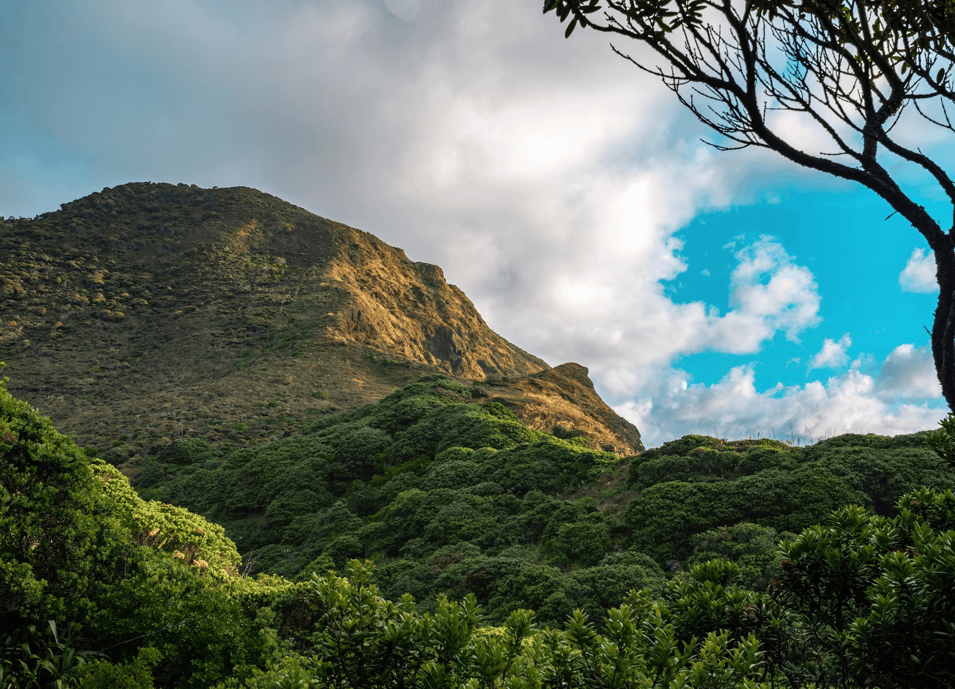 Malawi, Where the Safari and the Beach Are Hours Apart