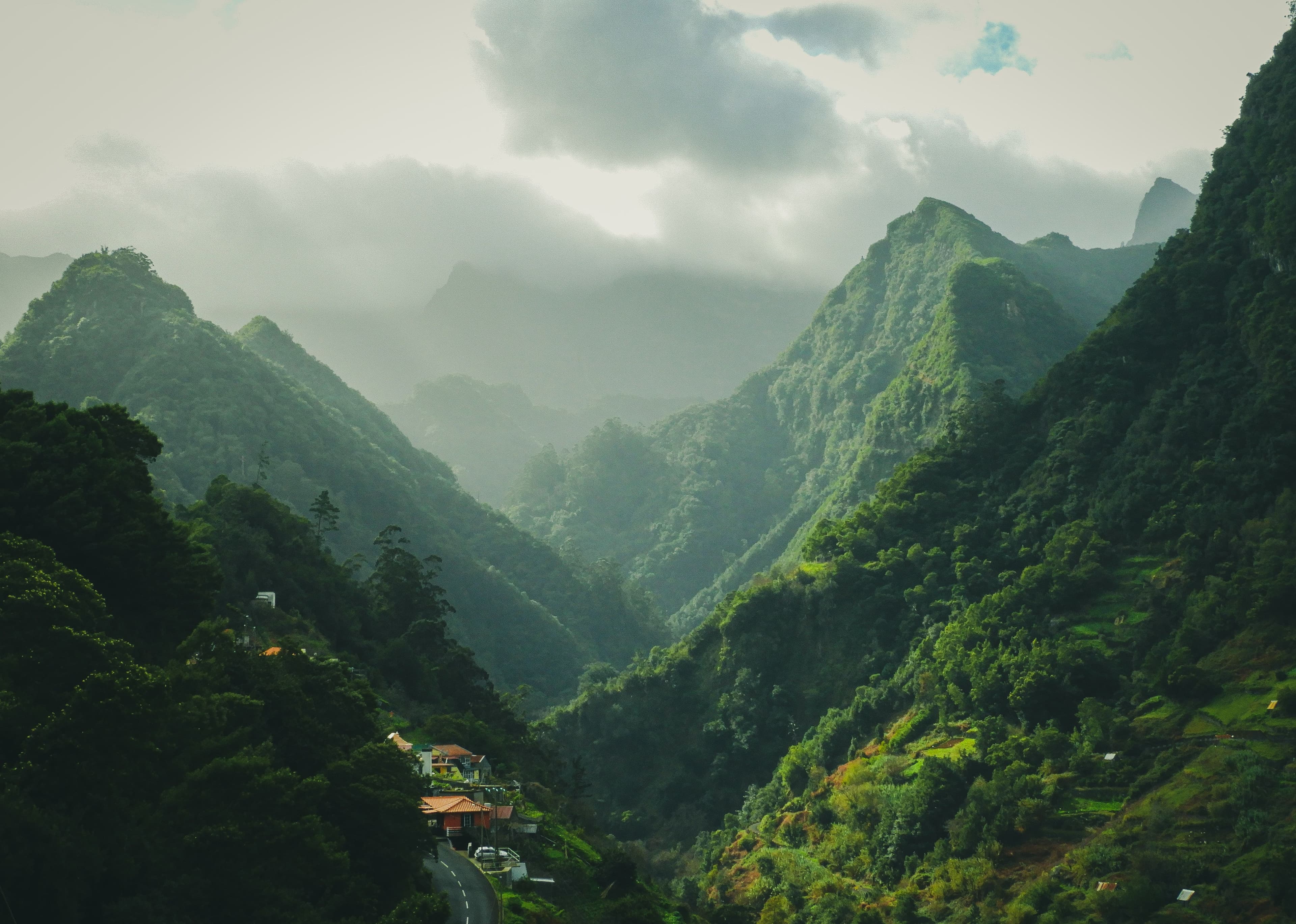 Taiwan Tour From Kochi, Night Markets and Mountain Mist