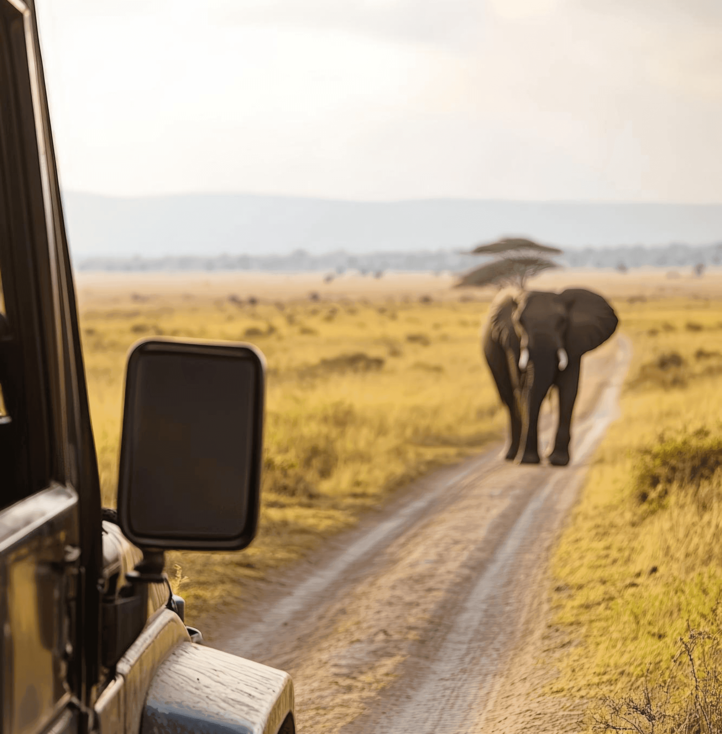 Zambia, the Country That Invented the Walking Safari
