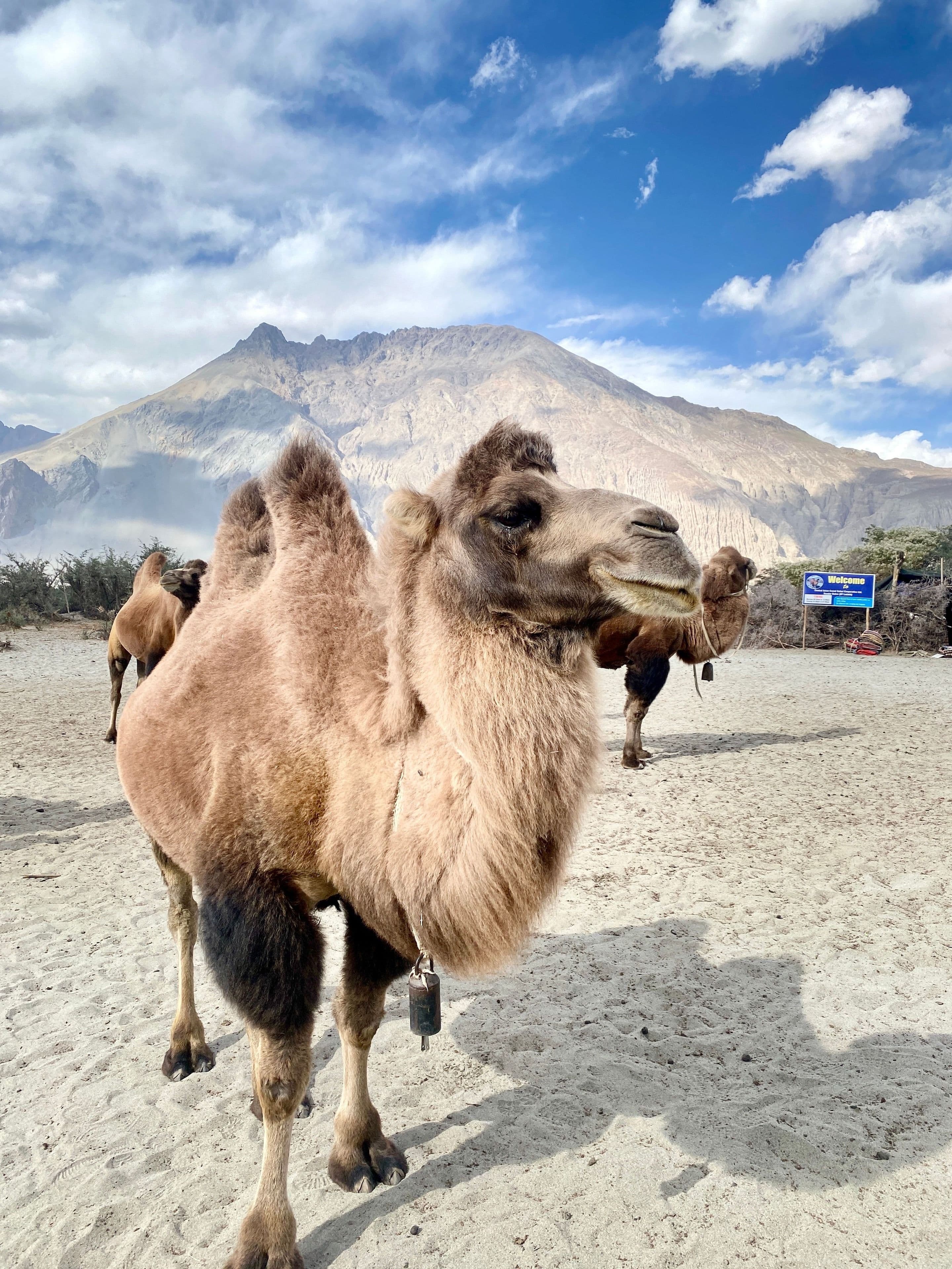 Leh Ladakh