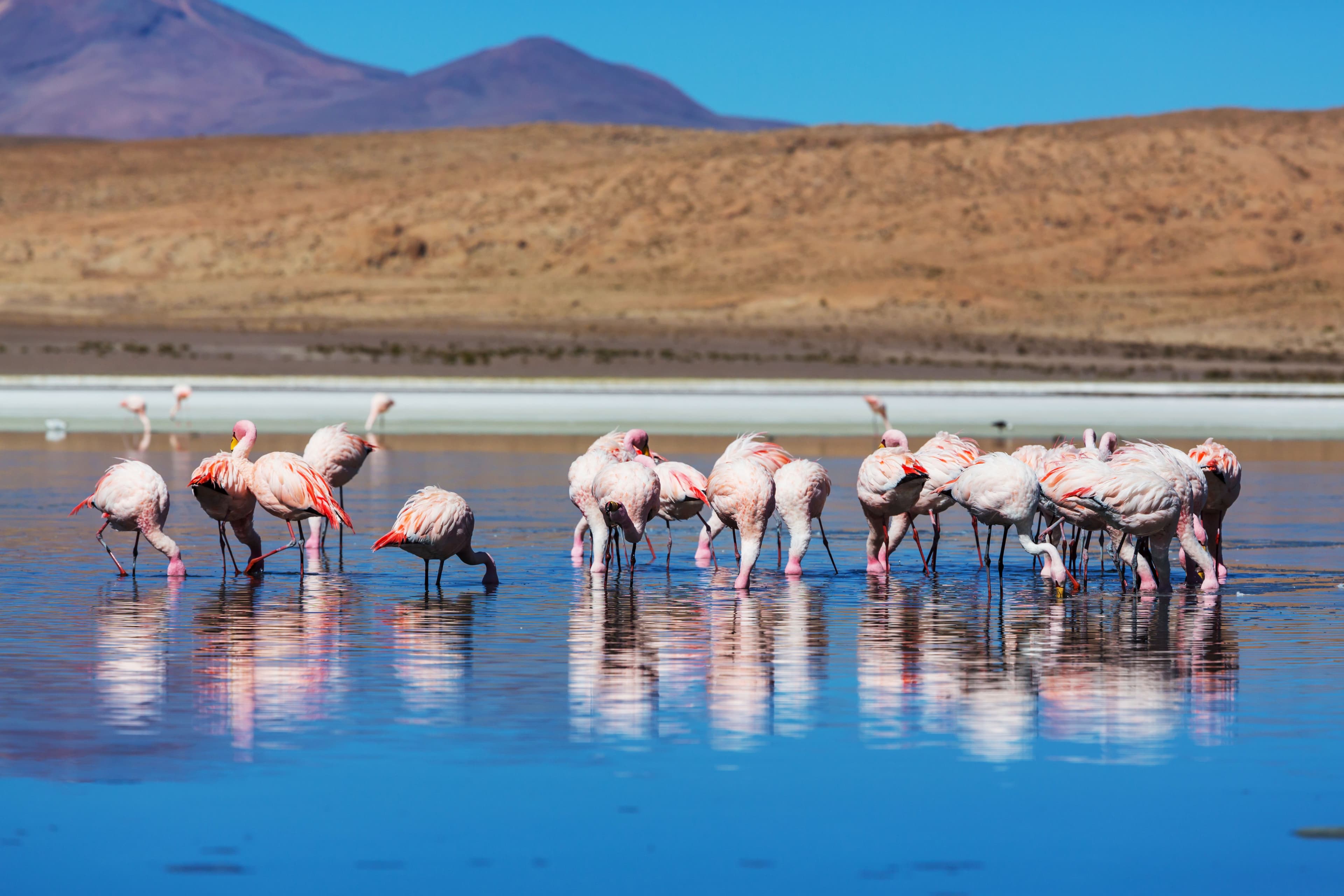 Namibia, a Country Made Mostly of Space